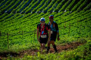 BIB: 
                            <button type="button" onclick="openModal(19161324)" class="btn btn-primary btn-sm float-right btn-popup" data-toggle="modal" data-target=".modal-high-quality">
                        <i class="fas fa-shopping-cart"></i> Add to Cart
                    </button>
                                            <button type="button" onclick="isThisMe(19161324, true)" class="btn btn-success btn-sm float-right btn-popup btn-isme hidden" data-toggle="tooltip" data-placement="bottom" title="นี่คือรูปของคุณใช่ไหม คลิกที่นี่เพื่อเอาเข้าอัลบั้ม">
                        <i class="fas fa-plus"></i> Add to album
                    </button>
                    <button type="button" onclick="isThisMe(19161324, false)" class="btn btn-warning btn-sm float-right btn-popup btn-isnotme hidden">
                        <i class="fas fa-ban"></i> Remove from album
                    </button>